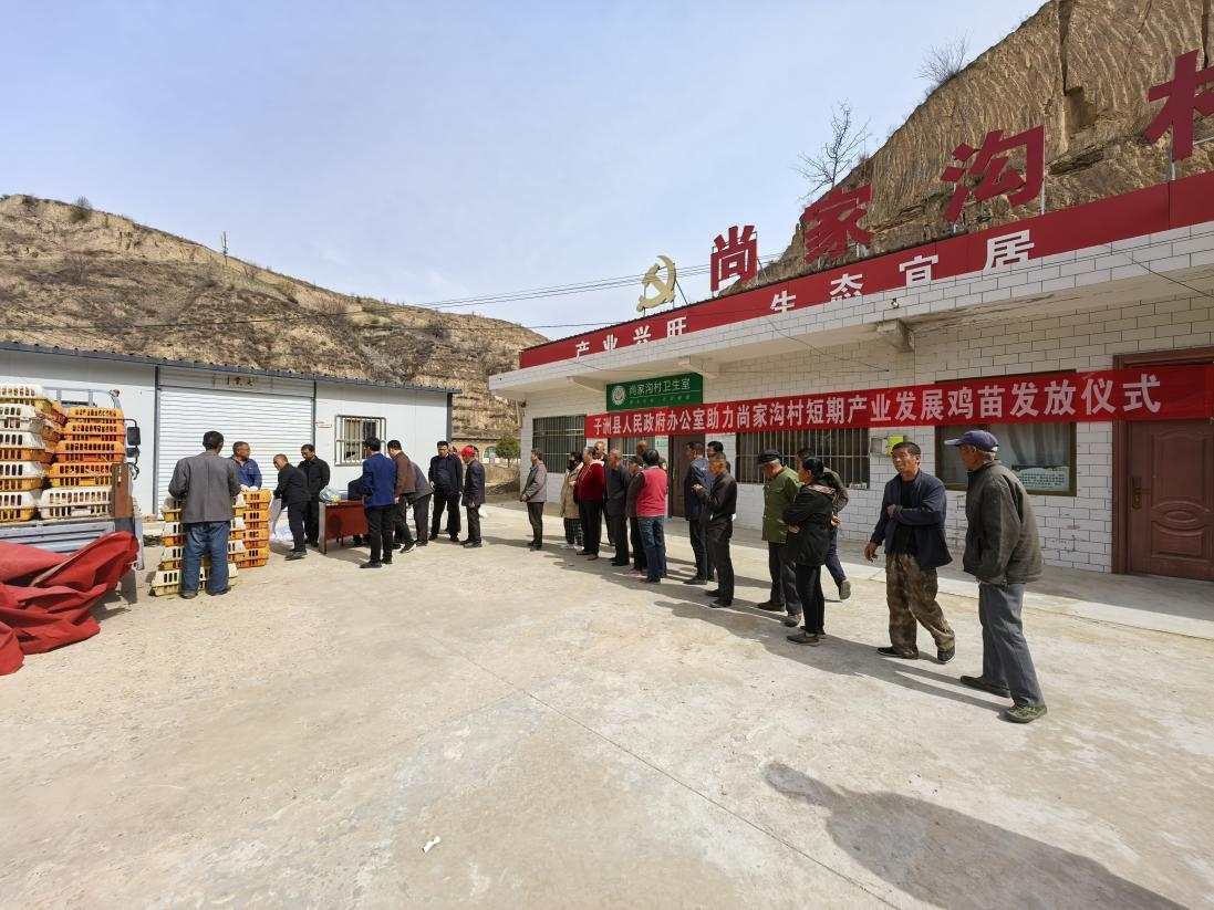 图片1.png