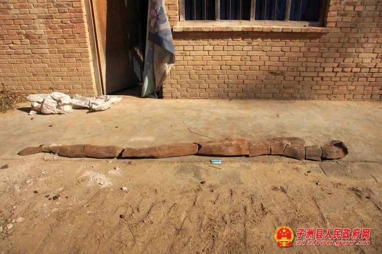 微信图片_20190213154912.jpg